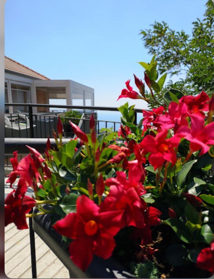 Santangelo Hotel Mattinata Exterior photo